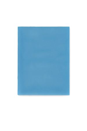 Foulard in Seta Azzurra ALBERTA FERRETTI | A330101140328